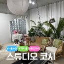 노원구파티룸 감성 셀프사진관 추천 스튜디오코시 솔직후기