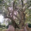 장수황씨종택 이미지