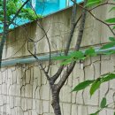 (주)퓨트로닉