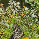 황성농장 이미지