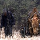 워낭소리 이미지