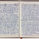 달루이 아시아경제
