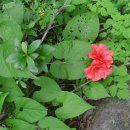 서당공원 화장실 이미지