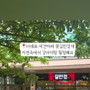 꽃길만걷개 이미지