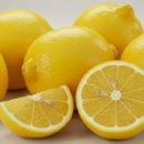 레몬의 꿈 이미지