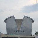 완도 미라리 상록수림 | [소안도 가족여행] 매력적인 섬 소안도에서의 즐거운 하루하루 ♥ (여름엔 역시 바다가 최고!)