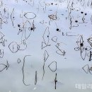 방죽2 이미지
