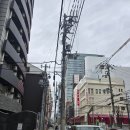 유노핏 | 오사카,고베 여행(2025.04.12~04.14)- 고베 단톤,유노이아 단톤,텐푸라마키노