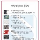 신우세탁 이미지