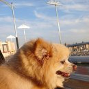 해담동물병원 이미지