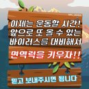 참좋은태권도 이미지