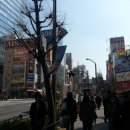 아키하바라 이미지