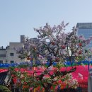 보물세상 이미지