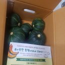 부지런한함평아재네꾸러미 | 유기농 함평아재네 미니단호박 개봉기