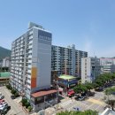 삼보신우 이미지