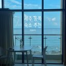 보롬코지 | 제주 동쪽 숙소 추천 - 구좌읍 보롬코지 펜션 (오션뷰, 돌고래, 근처 맛집, 주차장)