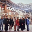 하늘종묘 이미지