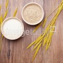 쌀과보리 이미지