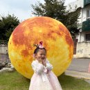 해피키즈유치원 이미지