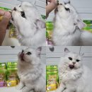 더주스 주식회사 이미지