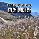 명산프라자 앞 | 합천 황매산 억새 군락지 최단 코스 탐방기