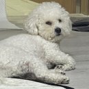 삼풍목장 | 2024.8 :)