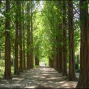 모란미술관 이미지