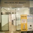 웰니스펫뷰티 이미지