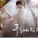 라인씨지 이미지