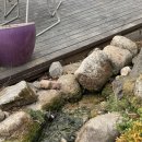 학암계곡등산로 대체 화장실 | [경기 양주카페] 넓은 정원에서 강아지들이 뛰놀 수 있는 <카페헤세>