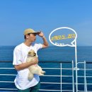 애월류가 이미지