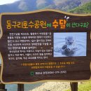 동구리호수공원주차장 이미지