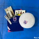 게스트하우스뮤 | 2026 수원 삼성 블루시스 컵 & 파주 프론티허 리그 후기