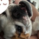 너만멍냥 이미지