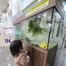 강원특별자치도 영월군 영월군종합사회복지관 이미지