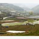 수원-1867 이미지