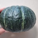 덕지농장 이미지