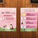 천도리사진관 이미지