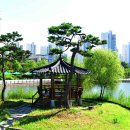 한강신도시호수공원 이미지