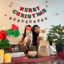 오도도그 이미지