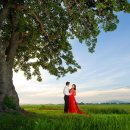 의료법인 참사랑의료재단 이미지