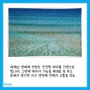 광영플라스틱 네이버블로그