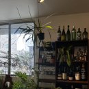 수다공간 | # 제주 노형 카페 베르디 후기 | 식물🪴가득한 감성 공간, 카공도 수다도 모두 좋았던 곳