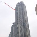 푸른숲동물약국 이미지