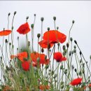 수성랜드 이미지