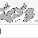 2023-0101 이미지