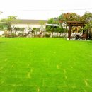 잔디 농장 이미지
