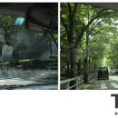 베네치아안경 이미지