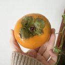 브레인 바둑(1-2) | 새해선물·어른들 선물 추천 | 브레인메이트 포스파티딜세린 후기