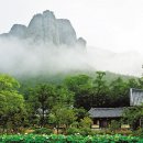 산이야기 Daum카페